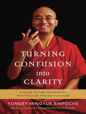 Turning Confusion into Clarity - ebook